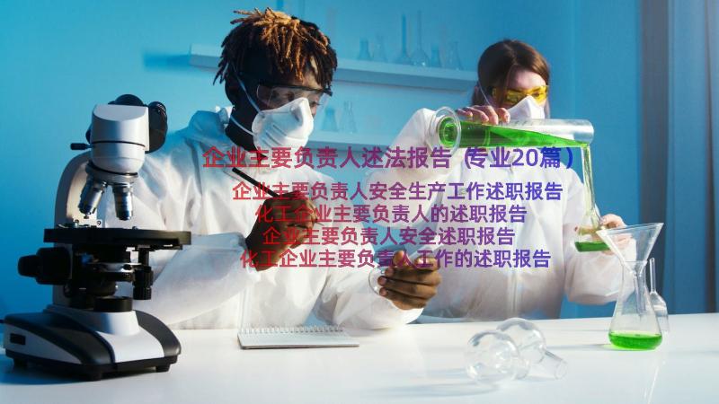 企业主要负责人述法报告（专业20篇）