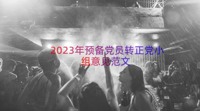 2023年预备党员转正党小组意见范文（12篇）