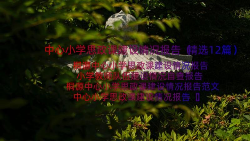 中心小学思政课建设情况报告（精选12篇）