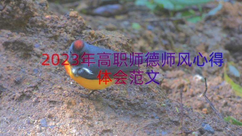 2023年高职师德师风心得体会范文（16篇）