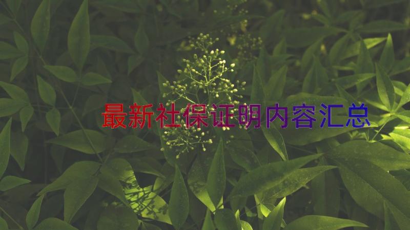 最新社保证明内容（汇总14篇）