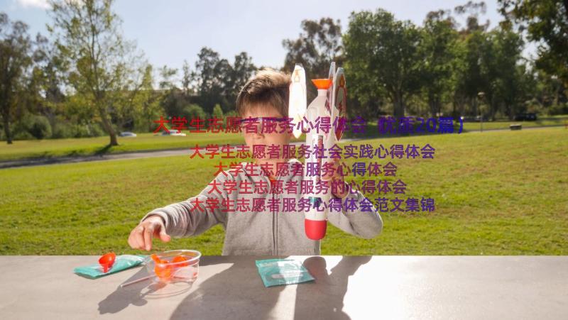 大学生志愿者服务心得体会（优质20篇）