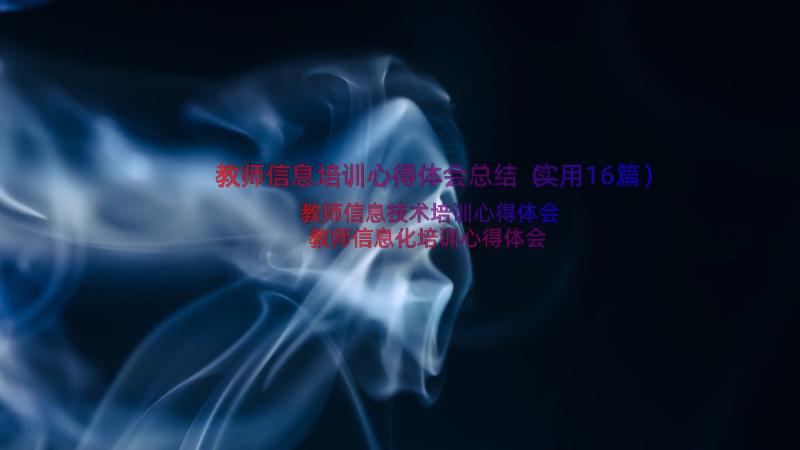 教师信息培训心得体会总结（实用16篇）