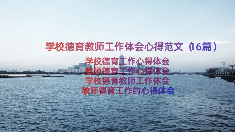 学校德育教师工作体会心得范文（16篇）