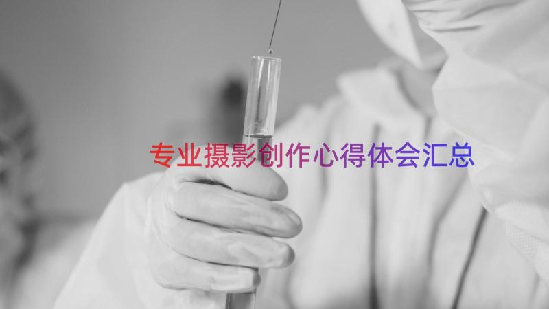 专业摄影创作心得体会（汇总19篇）