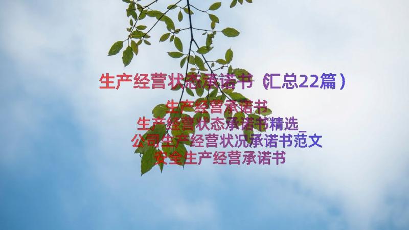 生产经营状态承诺书（汇总22篇）