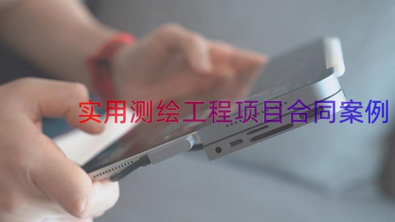 实用测绘工程项目合同（案例19篇）