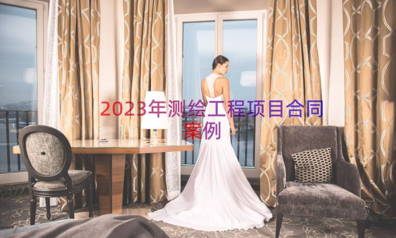 2023年测绘工程项目合同（案例12篇）