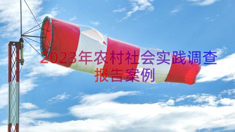 2023年农村社会实践调查报告（案例17篇）