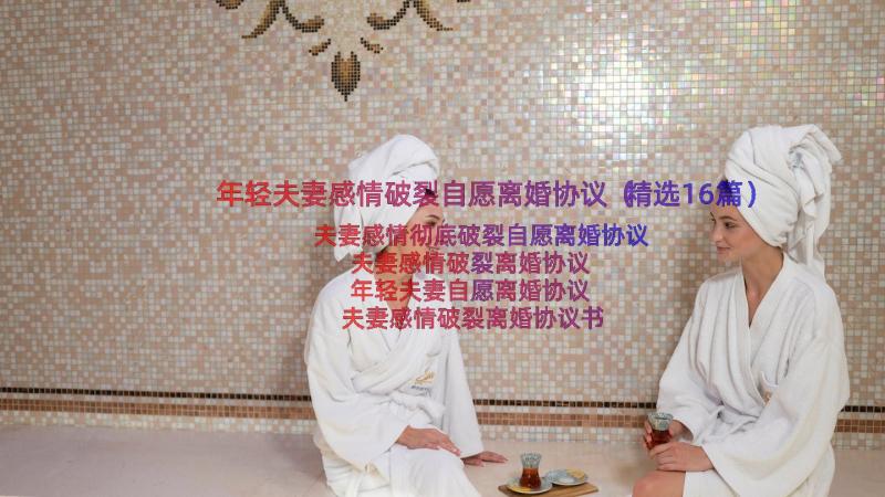 年轻夫妻感情破裂自愿离婚协议（精选16篇）