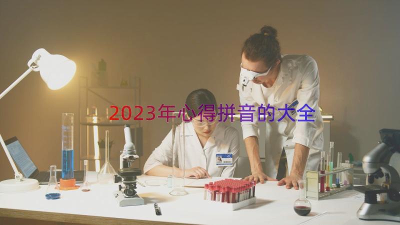 2023年心得拼音的大全（13篇）