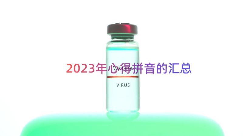 2023年心得拼音的（汇总16篇）