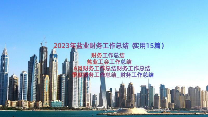 2023年盐业财务工作总结（实用15篇）