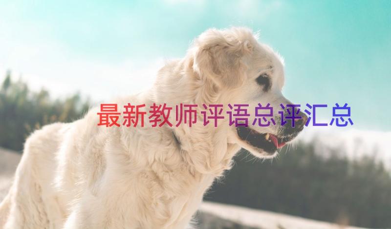 最新教师评语总评（汇总19篇）