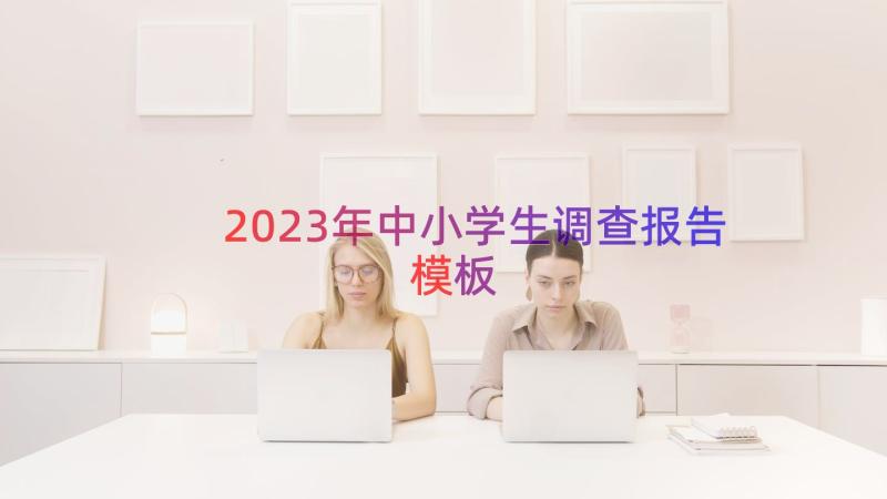 2023年中小学生调查报告（模板16篇）