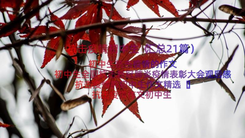 抗击疫情初中生（汇总21篇）