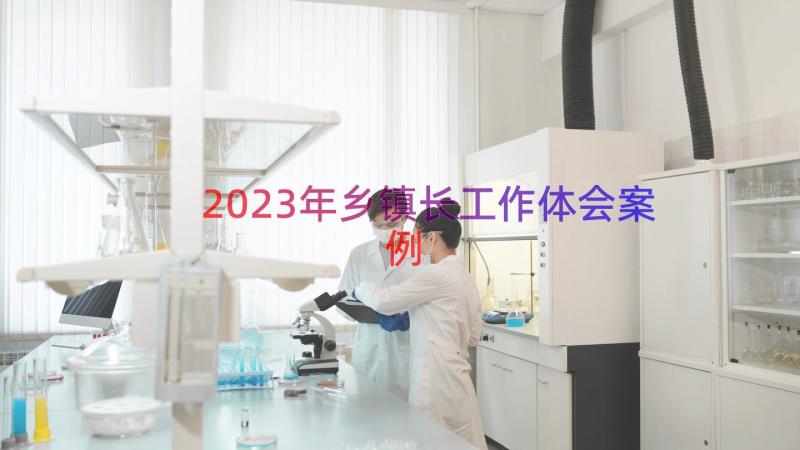 2023年乡镇长工作体会（案例16篇）