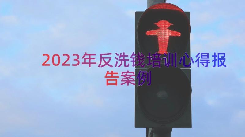 2023年反洗钱培训心得报告（案例14篇）