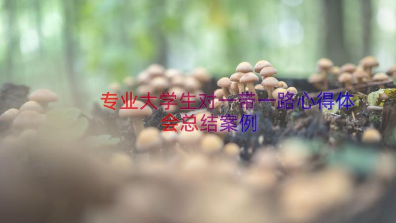 专业大学生对一带一路心得体会总结（案例18篇）