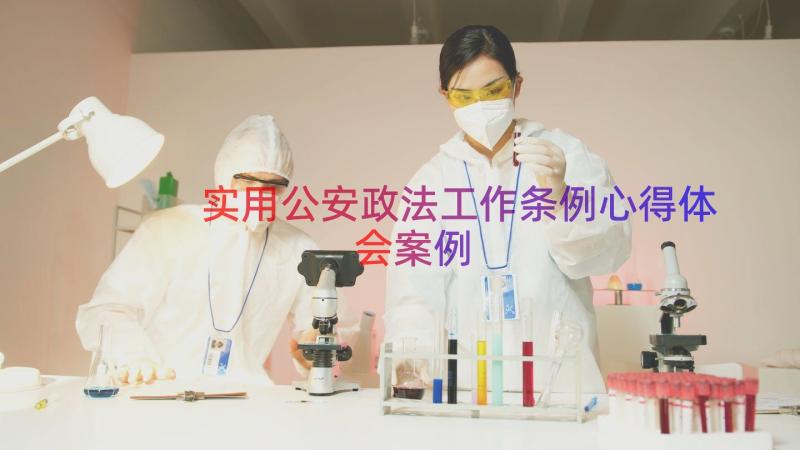 实用公安政法工作条例心得体会（案例17篇）