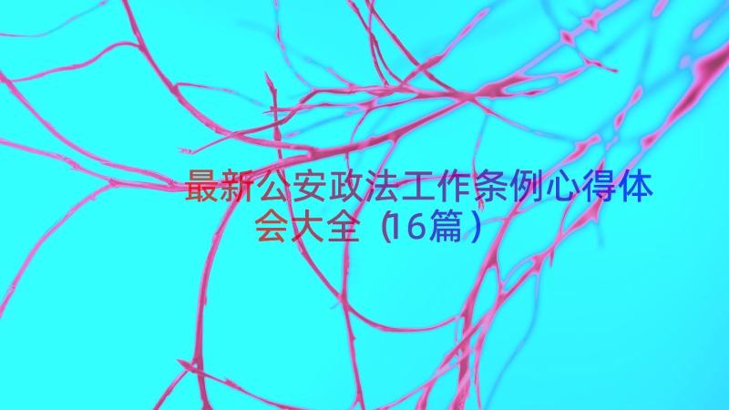 最新公安政法工作条例心得体会大全（16篇）