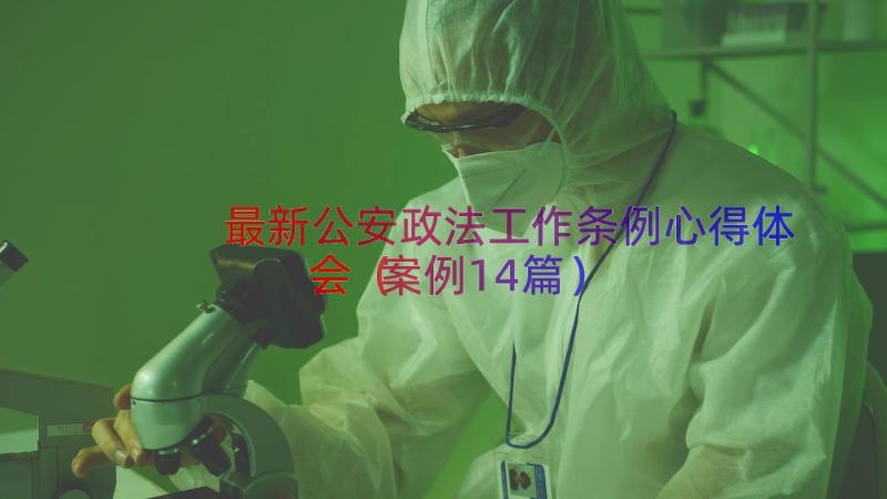 最新公安政法工作条例心得体会（案例14篇）