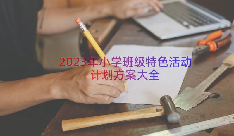 2023年小学班级特色活动计划方案大全（17篇）