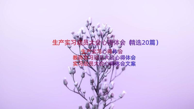 生产实习动员大会心得体会（精选20篇）