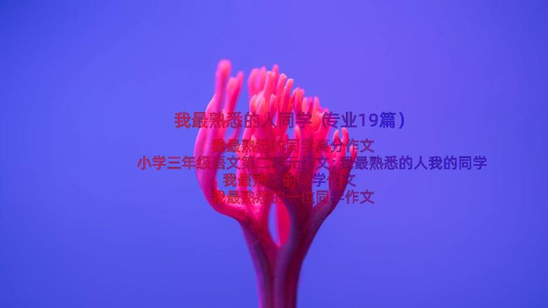 我最熟悉的人同学（专业19篇）