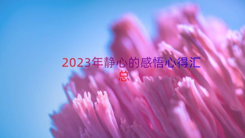 2023年静心的感悟心得（汇总13篇）