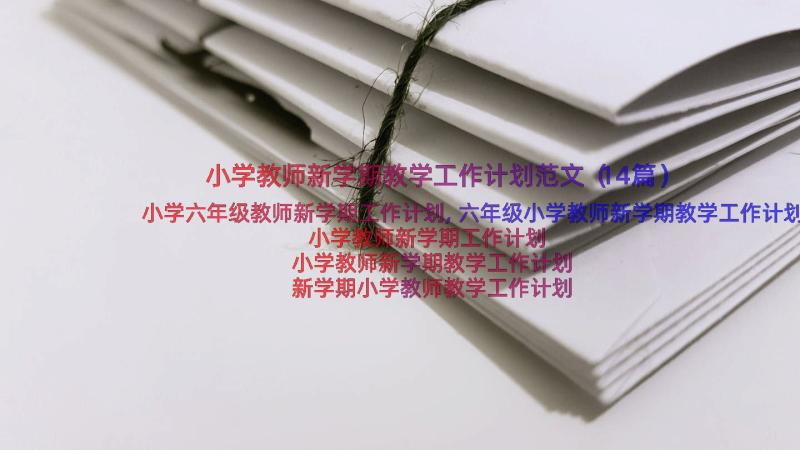 小学教师新学期教学工作计划范文（14篇）