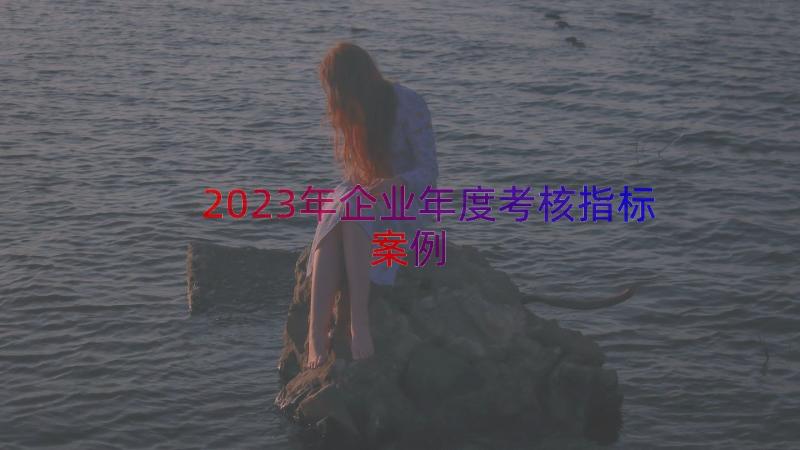 2023年企业年度考核指标（案例13篇）