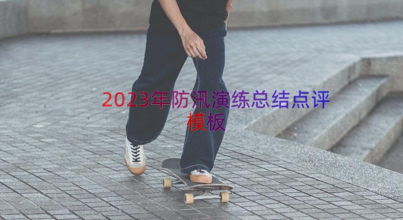 2023年防汛演练总结点评（模板15篇）