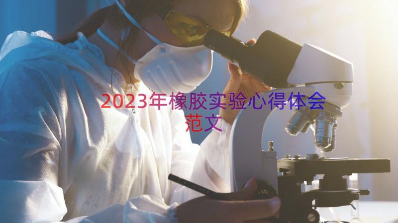 2023年橡胶实验心得体会范文（15篇）