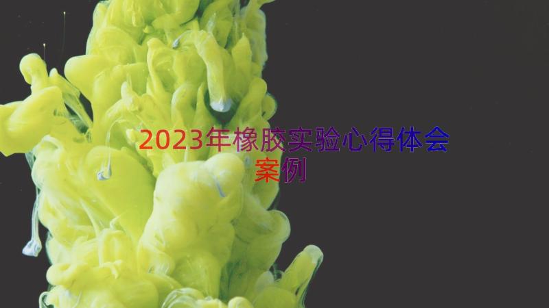 2023年橡胶实验心得体会（案例18篇）