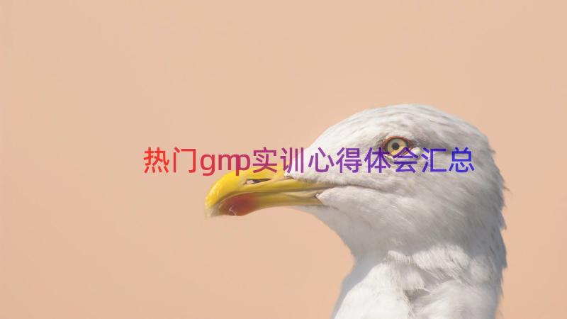 热门gmp实训心得体会（汇总12篇）