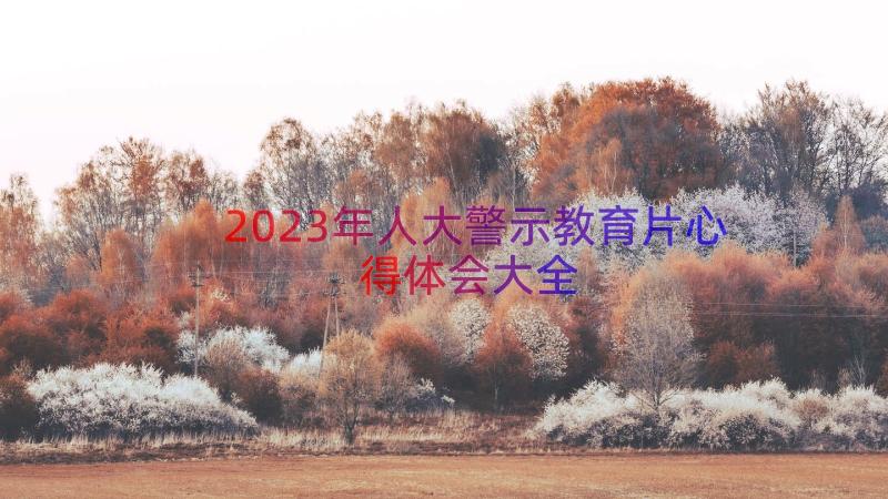 2023年人大警示教育片心得体会大全（14篇）