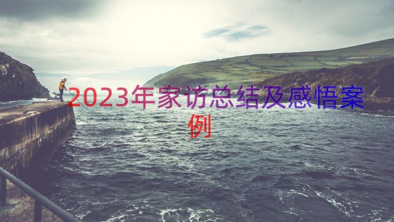 2023年家访总结及感悟（案例16篇）