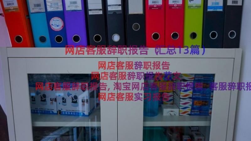 网店客服辞职报告（汇总13篇）