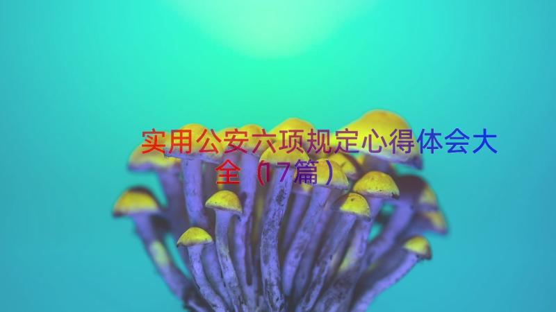 实用公安六项规定心得体会大全（17篇）