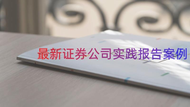 最新证券公司实践报告（案例19篇）