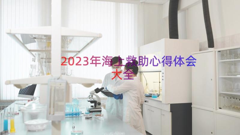 2023年海上救助心得体会大全（13篇）