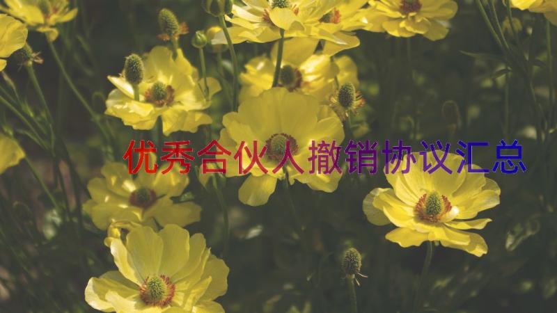 优秀合伙人撤销协议（汇总17篇）