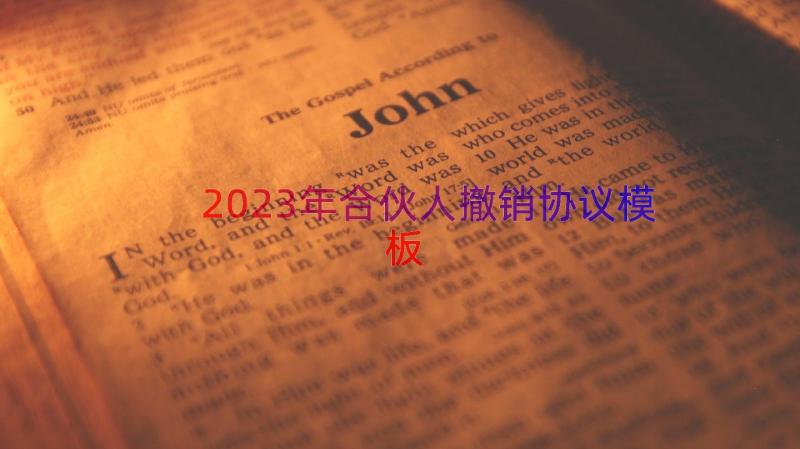 2023年合伙人撤销协议（模板16篇）