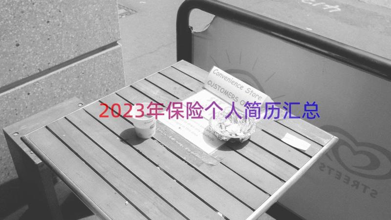 2023年保险个人简历（汇总17篇）