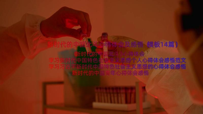 新时代的中国北斗心得体会及感悟（模板14篇）