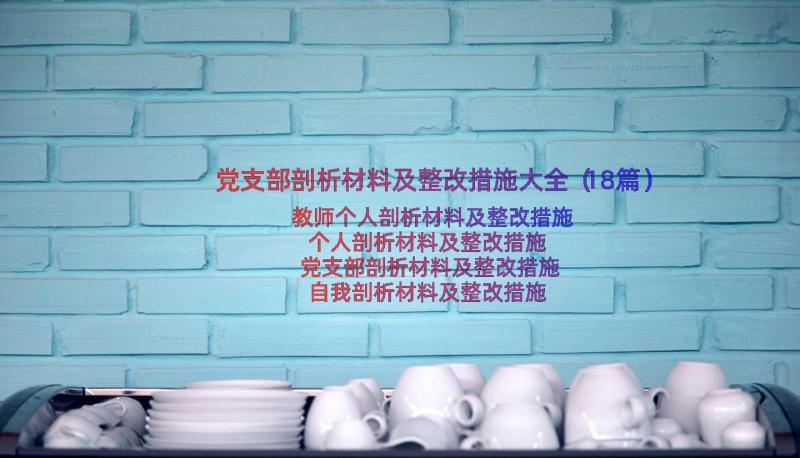 党支部剖析材料及整改措施大全（18篇）