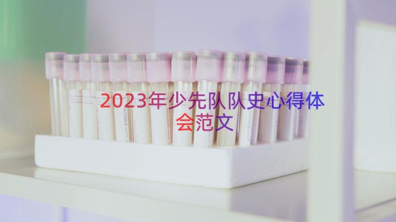 2023年少先队队史心得体会范文（16篇）