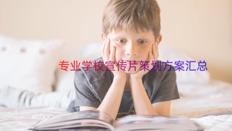 专业学校宣传片策划方案（汇总16篇）