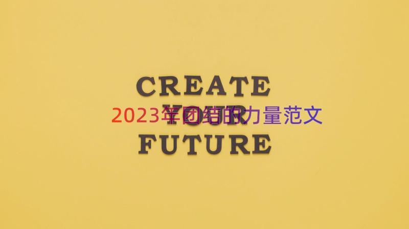 2023年团结的力量范文（16篇）